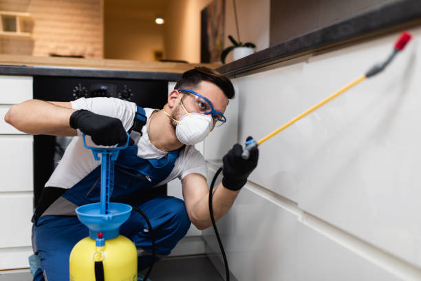 Best Wildlife Control Services  in Elmwood Park, IL